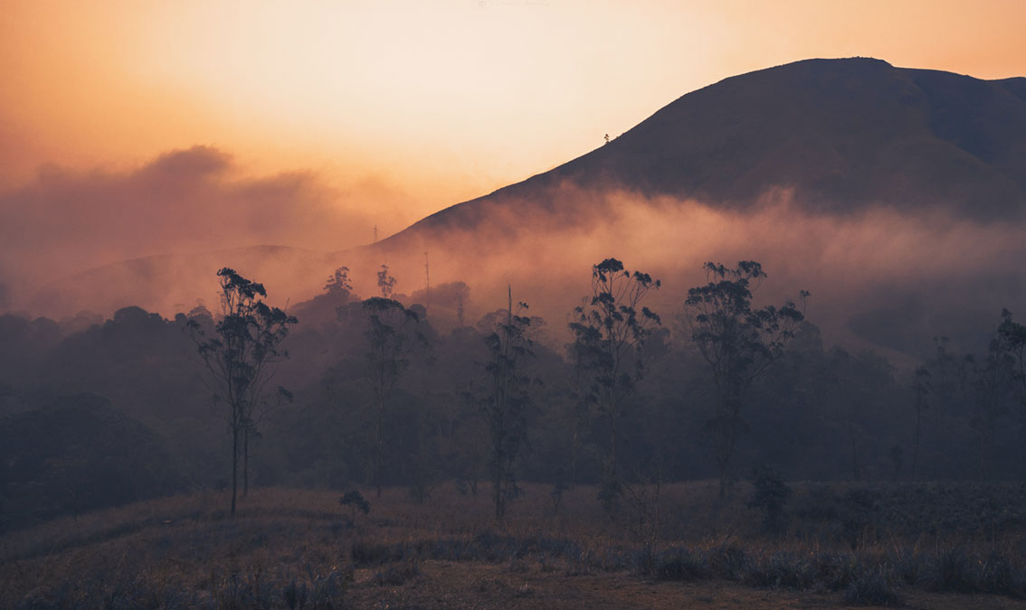 BC-216: INNER WHOLENESS BC-216